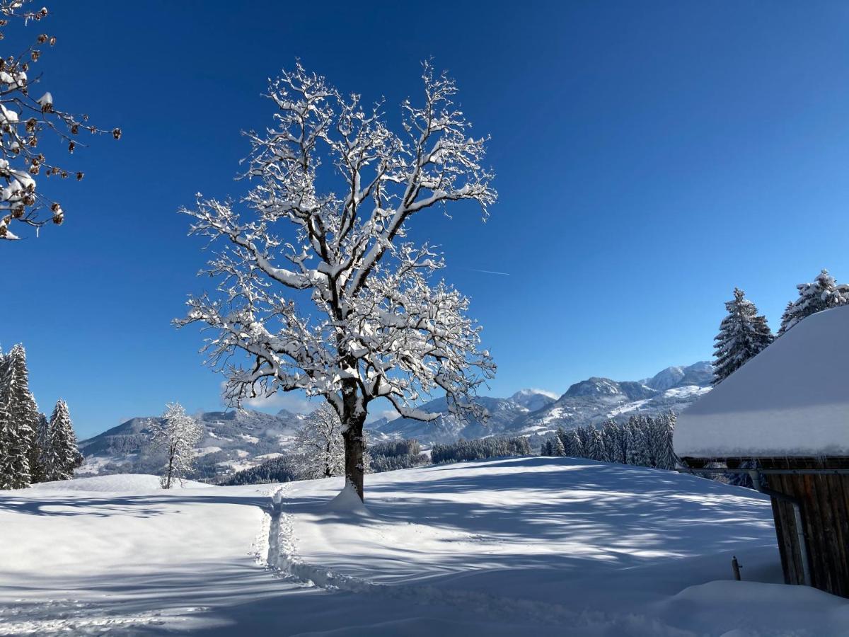 Bergblick Lodge Ofterschwang Εξωτερικό φωτογραφία