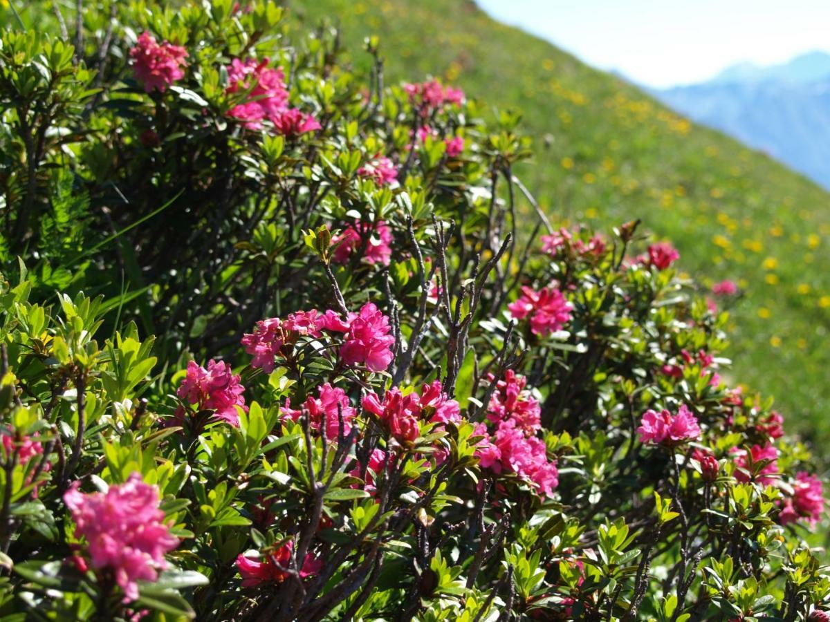 Bergblick Lodge Ofterschwang Εξωτερικό φωτογραφία